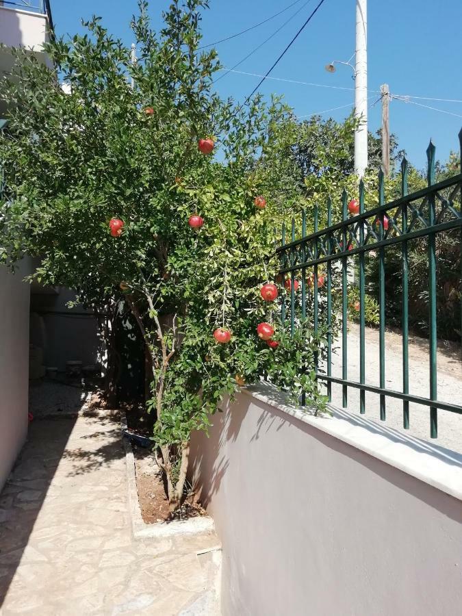 Airport Family House Apartment Artemida  Exterior photo